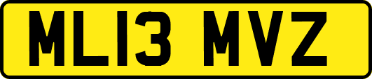 ML13MVZ
