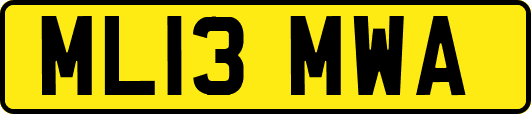 ML13MWA