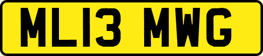 ML13MWG