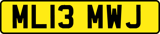 ML13MWJ