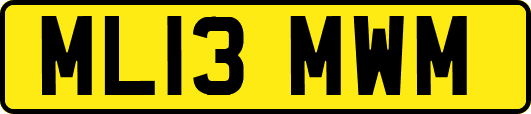 ML13MWM