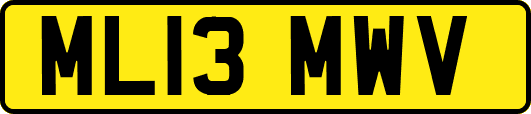 ML13MWV