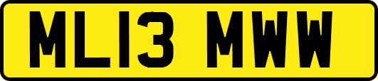 ML13MWW