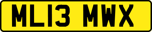 ML13MWX