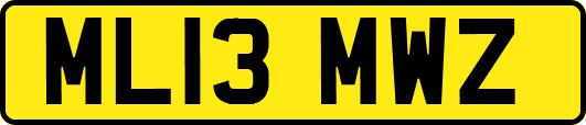 ML13MWZ