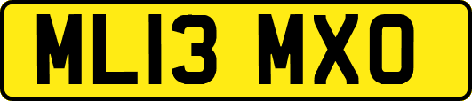 ML13MXO