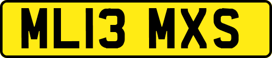 ML13MXS