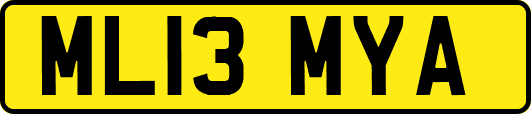 ML13MYA