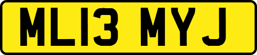 ML13MYJ