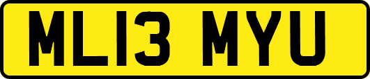 ML13MYU