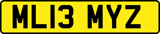 ML13MYZ