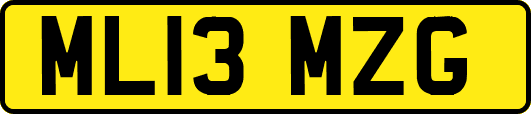 ML13MZG