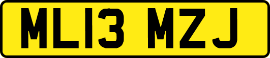 ML13MZJ