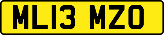 ML13MZO