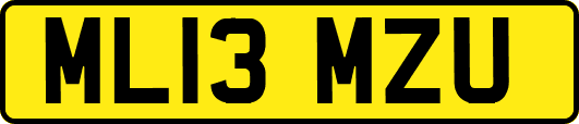 ML13MZU