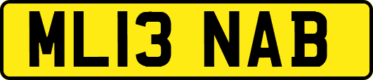 ML13NAB