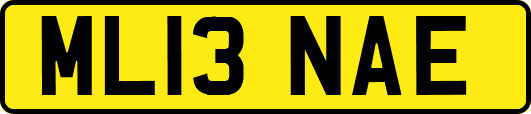 ML13NAE