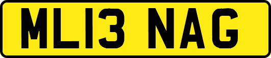 ML13NAG