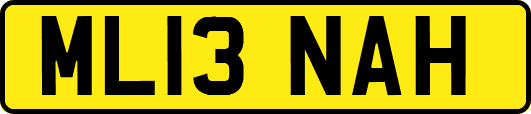 ML13NAH