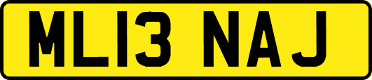 ML13NAJ