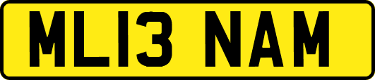 ML13NAM
