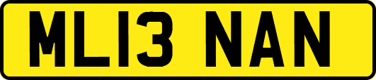 ML13NAN