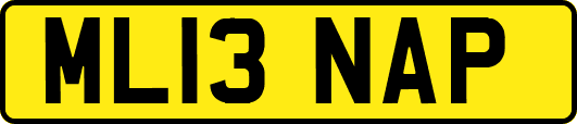 ML13NAP