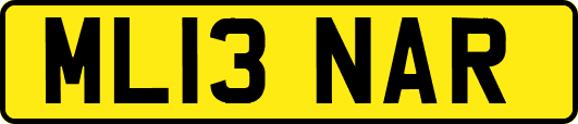 ML13NAR