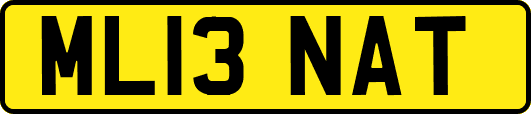 ML13NAT