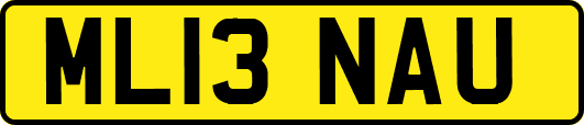 ML13NAU
