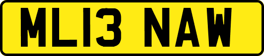 ML13NAW