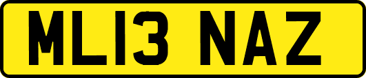 ML13NAZ