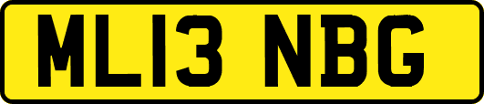 ML13NBG