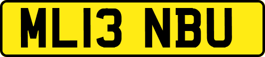 ML13NBU