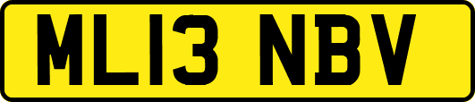 ML13NBV