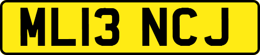 ML13NCJ