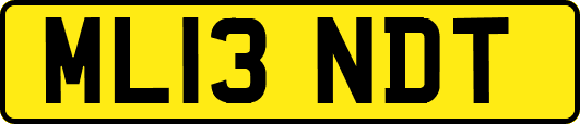 ML13NDT