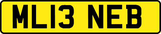 ML13NEB