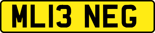 ML13NEG