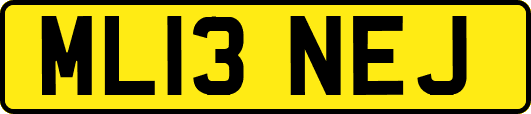 ML13NEJ