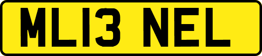 ML13NEL