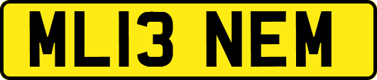 ML13NEM