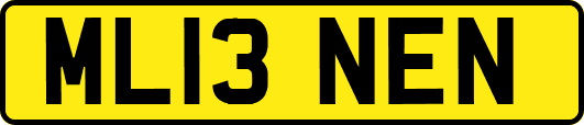 ML13NEN