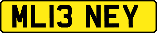 ML13NEY
