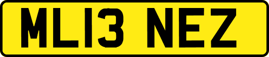 ML13NEZ