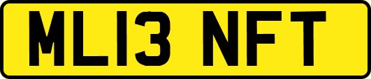 ML13NFT