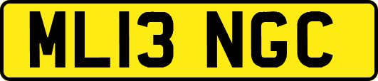 ML13NGC