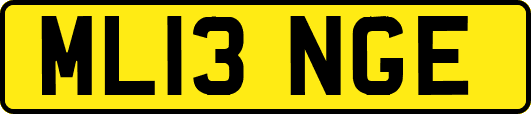 ML13NGE
