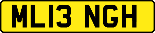 ML13NGH