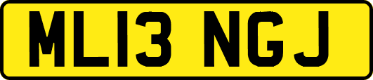 ML13NGJ